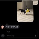 영훈 농장 | 🎱