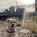 삼성동(북부교) 이미지