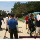 모두체험학습 Daum카페