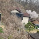 송정동-20 이미지