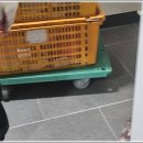 동네에서 | 대구이사후기 새로운 동네에서 시작된 하루의 감정 기록