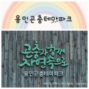 생생농장 | [여름방학 아이와 갈만한 곳] 용인곤충테마파크 생생후기｜곤충 체험 + 동물농장까지 실내외 풀코스