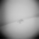 더하얀세상 이미지