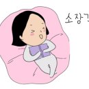 카페호빈