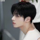 다섯별 이미지