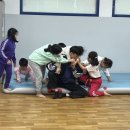 초심태권도 이미지