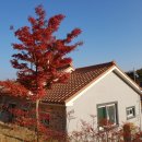 반룡마을회관 이미지