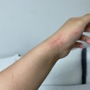 씨유 기흥보라점 | 이게 근황인지 뽀식이 자랑인지