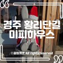 [경주 여행] 황리단길 필수 코스 '미피스토어': 찰보리빵 파우치 &amp; 키링 득템 후기 (재고/가격)