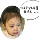 볼사이팅 이미지