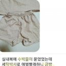 세탁박사 이미지