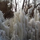 숲속의 둥지 이미지