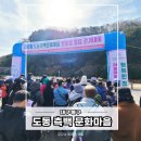 문화마을길 | 🌸 제17회 도동측백문화마을 벚꽃길 힐링걷기대회 후기 🌸
