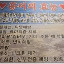광주상회