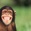 (주)지레이 이미지