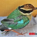 전북야생동물구조관리센터 이미지