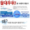 캐나다직수입 완제품 프로바이오틱스 유산균 도매 및 소매 합니다 이미지