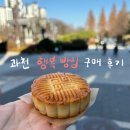 에그드랍 과천별양점 | 과천 행복 빵집 선물하기 좋은 찹쌀떡 행복빵 월병 후기