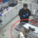 데일리동물병원 이미지