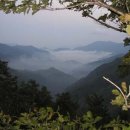 춘양주유소