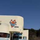 놀자대게 본점