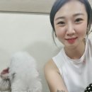 교동효가든