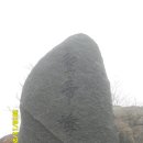 청죽 이미지
