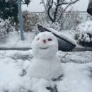 문신양계장 | [주간일기] 11월 마지막 주