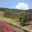 입점리_고분전시관 이미지