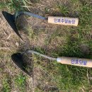 안호농장 이미지