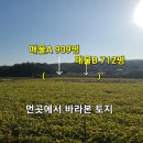 홍성/ 싸고 넓고 평평한 계획관리지역토지, 현재 자두과수원 909평/ 1억원 이미지