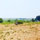 술산초등학교 | 조선 명당 중 7번째 손가락에 꼽히는 군산시 임피면 술산리!