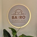 바로펫살롱 이미지