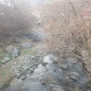 행현1리 마을회관 | 2024타경587 / 경매 / 264평 생활숙박시설 / 최저가 24% / 경기도 가평군 상면 행현리