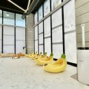 오늘도 즐겁개 이미지