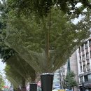 서대문 신촌역로 이미지