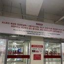 [코스트코] 25년 1월 할인상품 &amp; 꿀템 구매후기