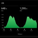 백두세상 | [백두대간 12/55] 20260124 덕산재 ~ 신풍령