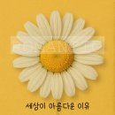 감성인테리어 네이버블로그