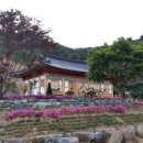 뜰안에 민박 이미지