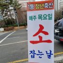 1등청년축산