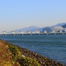 하단동179 이미지