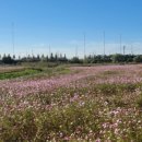 성동IC주유소 이미지