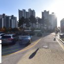정육도가