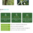 보궁요양병원