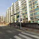 금낭화로23길 이미지