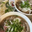 (주)메드월드 | 이거슨 시드니 블루마운틴 무한투어 후긴데요