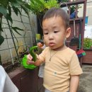 꿀잼키즈룸 이미지