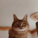 개삼터 오리전문점 이미지