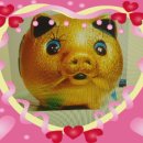 황금꽃돼지 이미지